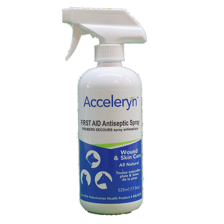 Natural antiseptic sales for dogs skin