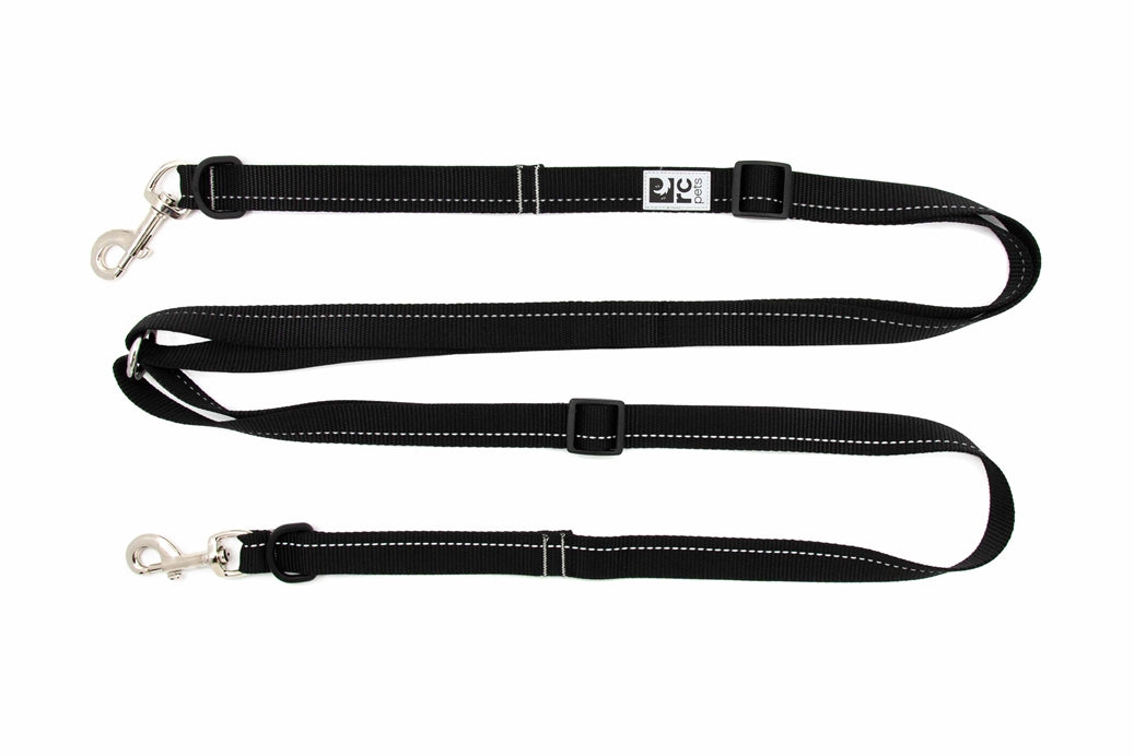 Dog leash with 2 sales clips