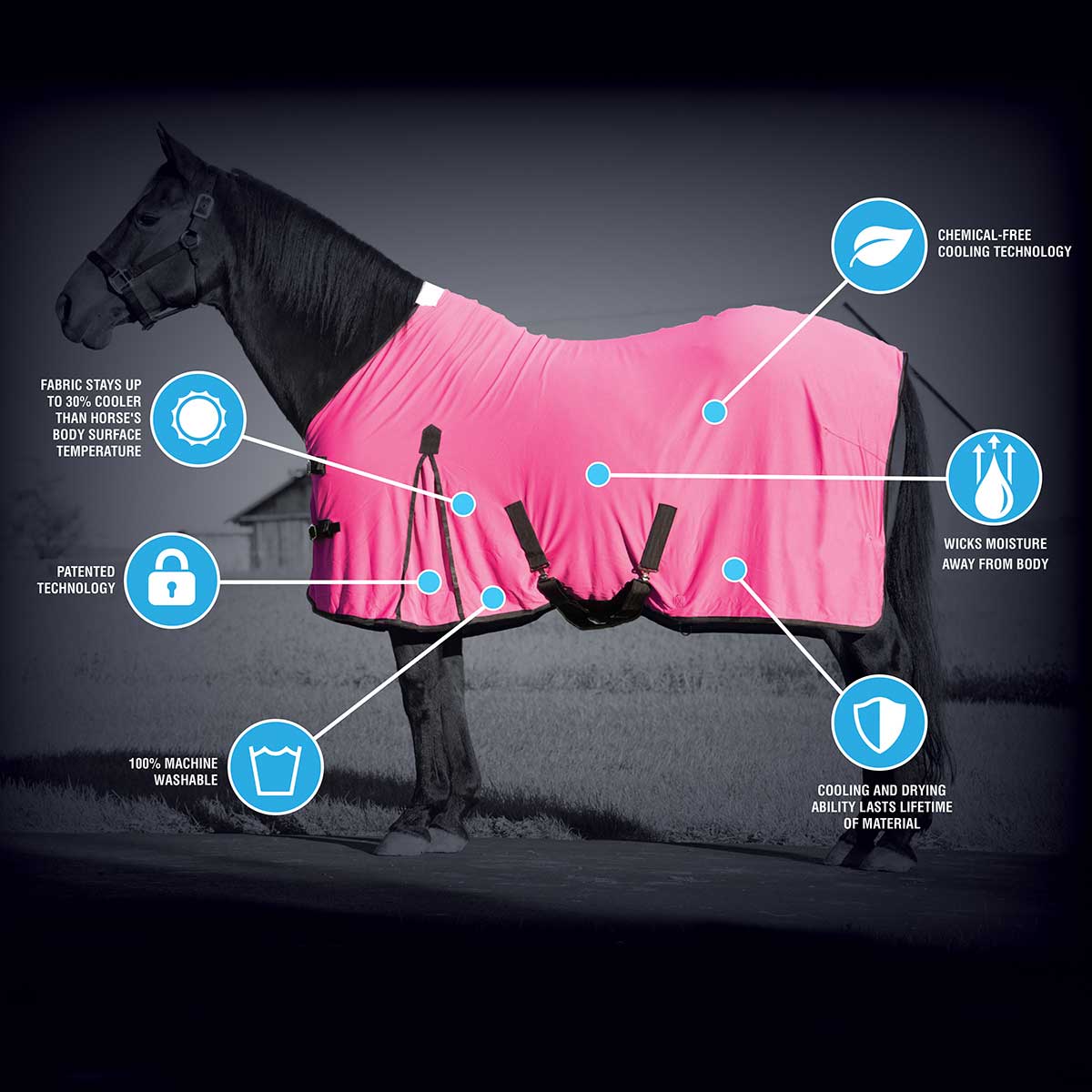 Weaver CoolAid Equine Cooling Blanket G E Pharmacy