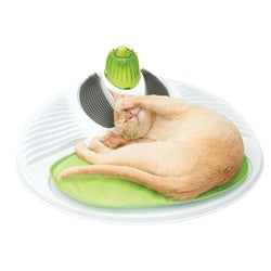  Catit Play Cat Treat Puzzle, Interactive Cat Toy, 43010, White  : Pet Supplies