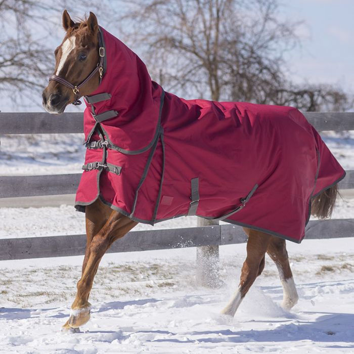 Canadian Horsewear Diablo Turnout with Hood 300g