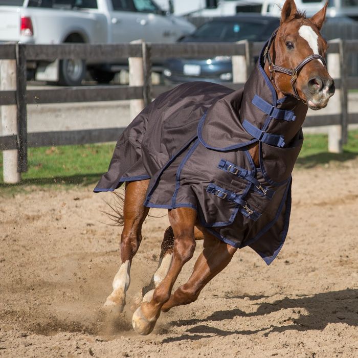 Canadian Horsewear Diablo Turnout with Hood 300g