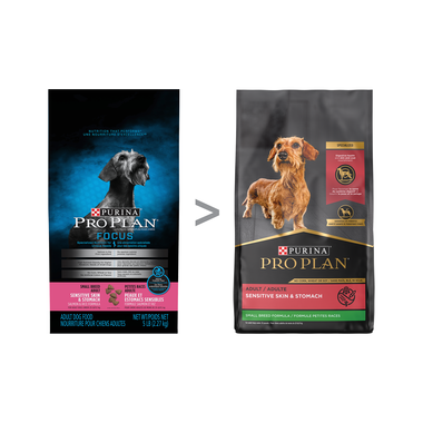 Purina pro plan focus small breed sensitive skin and 2024 stomach