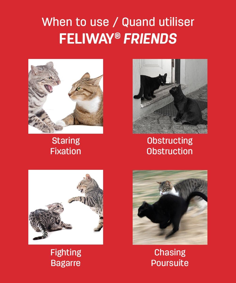 Feliway Friends Plug in Diffuser 30 day starter kit G E Pharmacy