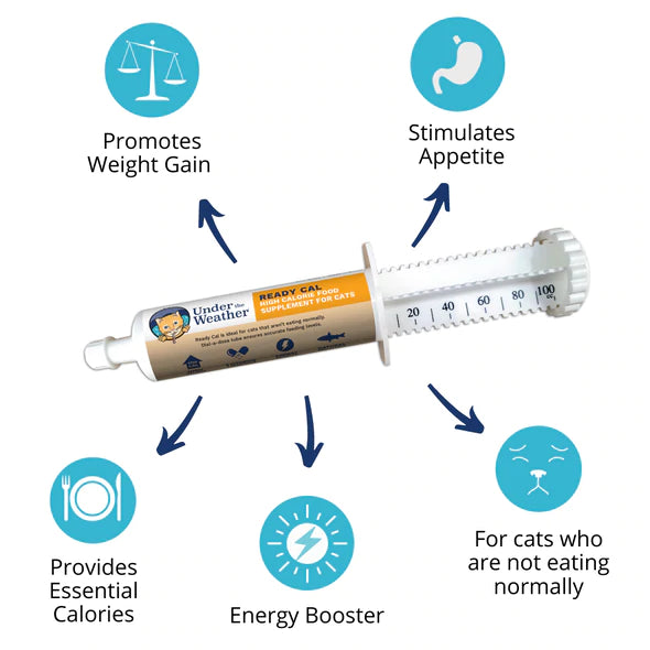 Under the Weather Ready Cal High Calorie Supplement for Cats 80cc tube G E Pharmacy