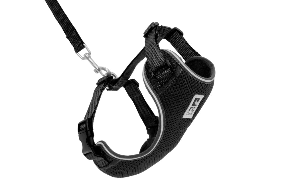 RC Pet Products Bungee Dog Coupler, Black, 1-in