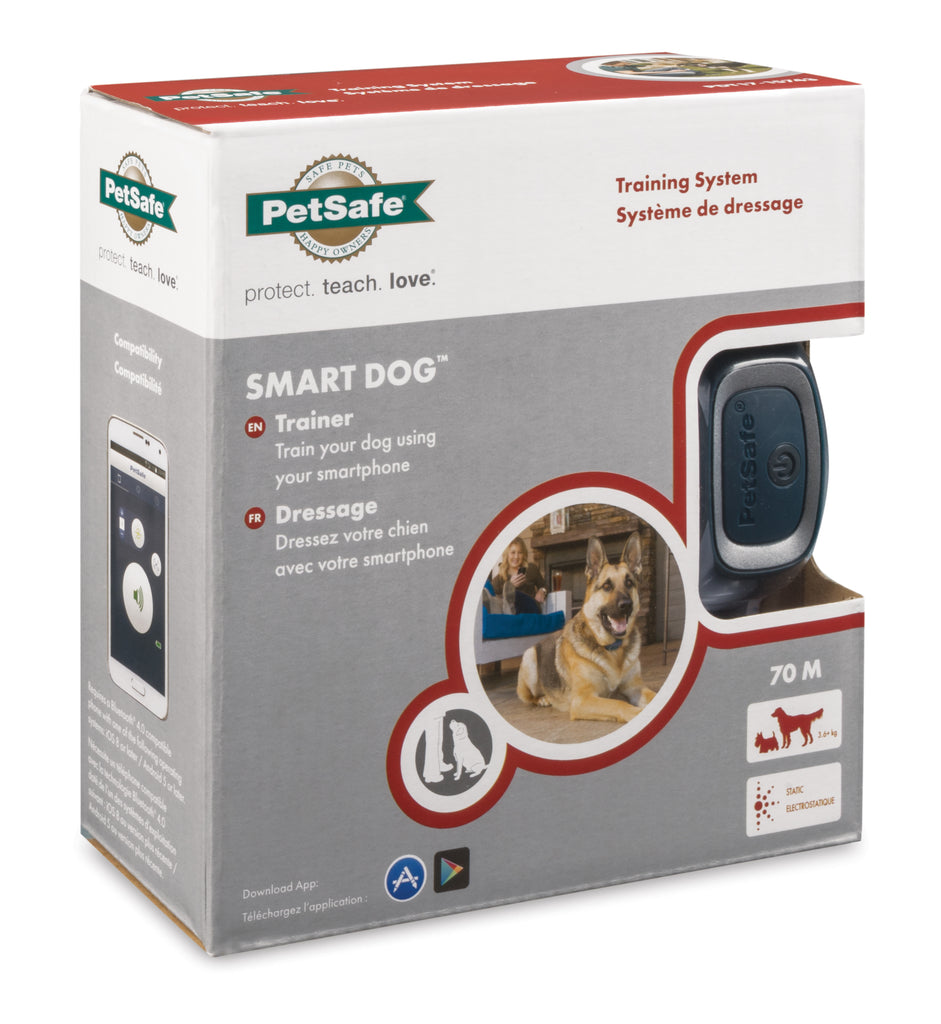 Smart 2024 dog trainer